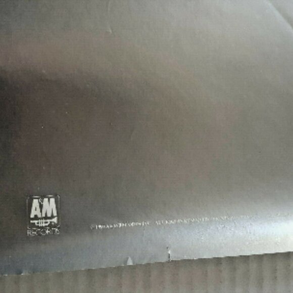 Vintage SOUNDGARDEN Louder Than Love POSTER 36" x 24" RARE Promo Only 1989 - Picture 6 of 6